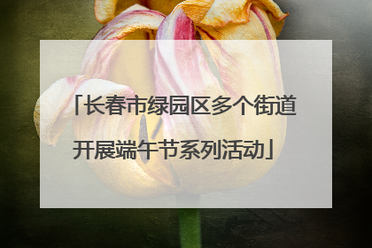 长春市绿园区多个街道开展端午节系列活动