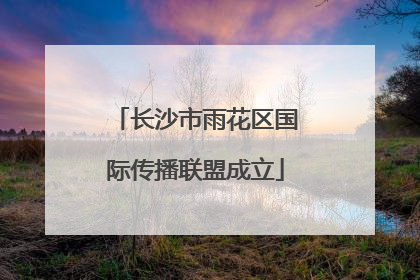 长沙市雨花区国际传播联盟成立