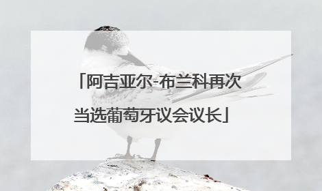 阿吉亚尔-布兰科再次当选葡萄牙议会议长