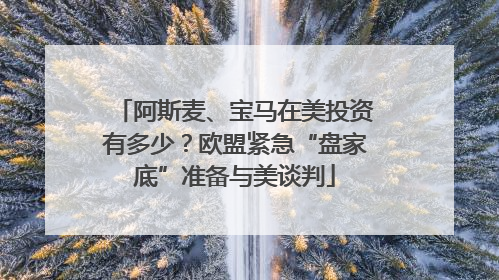 阿斯麦、宝马在美投资有多少？欧盟紧急“盘家底”准备与美谈判