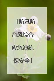 防汛防台风综合应急演练保安全