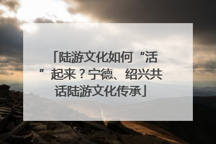陆游文化如何“活 ”起来？宁德、绍兴共话陆游文化传承