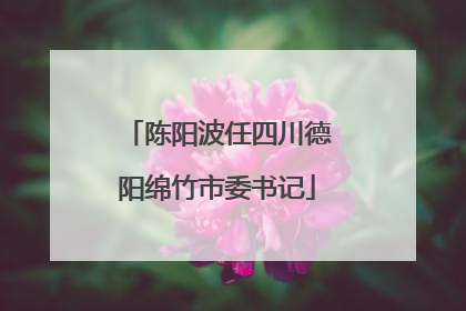 陈阳波任四川德阳绵竹市委书记