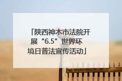 陕西神木市法院开展“6.5”世界环境日普法宣传活动