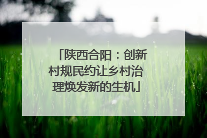 陕西合阳：创新村规民约让乡村治理焕发新的生机