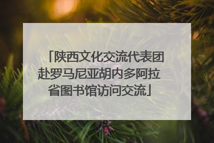 陕西文化交流代表团赴罗马尼亚胡内多阿拉省图书馆访问交流