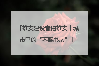 雄安建设者拍雄安丨城市里的“不眠书房”