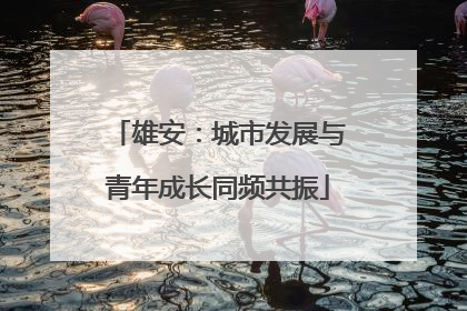 雄安：城市发展与青年成长同频共振