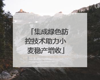 集成绿色防控技术助力小麦稳产增收