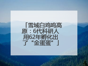雪域白鸡鸣高原：6代科研人用62年孵化出了“金蛋蛋”