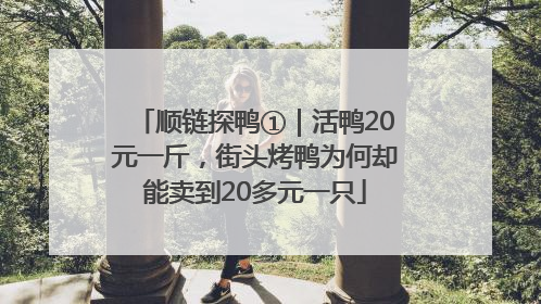顺链探鸭①｜活鸭20元一斤，街头烤鸭为何却能卖到20多元一只