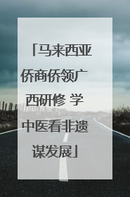 马来西亚侨商侨领广西研修 学中医看非遗谋发展