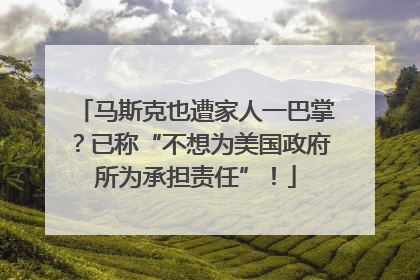 马斯克也遭家人一巴掌？已称“不想为美国政府所为承担责任”！