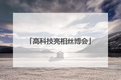 高科技亮相丝博会