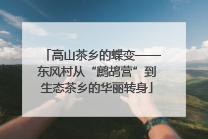 高山茶乡的蝶变——东风村从“鹧鸪营”到生态茶乡的华丽转身