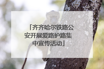 齐齐哈尔铁路公安开展爱路护路集中宣传活动