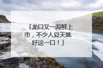 龙口又一海鲜上市，不少人夏天就好这一口！
