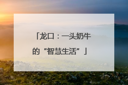 龙口：一头奶牛的“智慧生活”