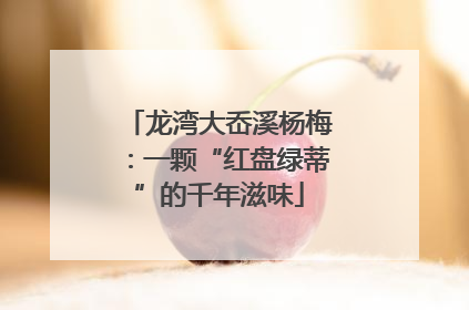 龙湾大岙溪杨梅：一颗“红盘绿蒂”的千年滋味