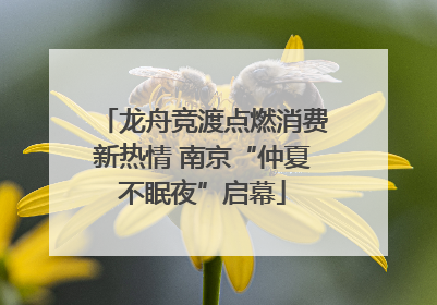 龙舟竞渡点燃消费新热情 南京“仲夏不眠夜”启幕