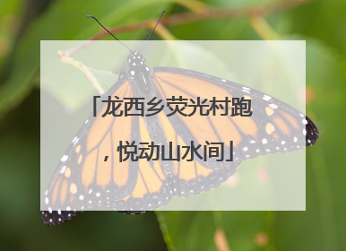 龙西乡荧光村跑，悦动山水间