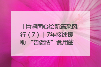 鲁疆同心绘新篇采风行（7）｜7年接续援助 “鲁疆情”食用菌从1.0走向4.0
