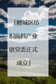 鲤城区纺织面料产业链党委正式成立