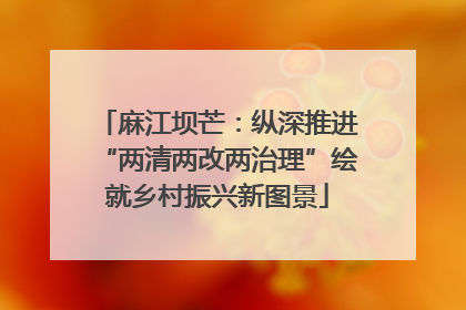麻江坝芒：纵深推进“两清两改两治理”绘就乡村振兴新图景