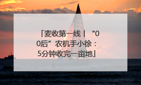 麦收第一线丨“00后”农机手小徐：5分钟收完一亩地