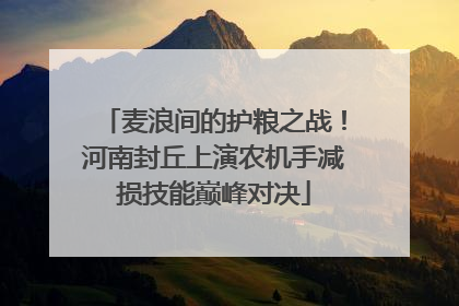 麦浪间的护粮之战！河南封丘上演农机手减损技能巅峰对决