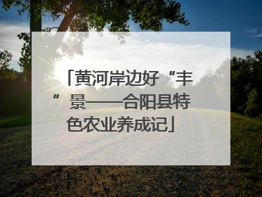 黄河岸边好“丰”景——合阳县特色农业养成记