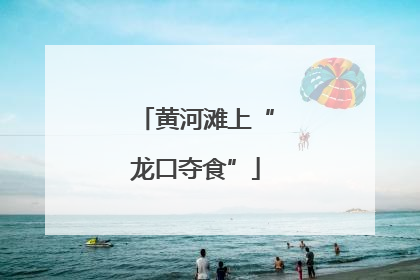 黄河滩上“龙口夺食”