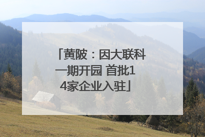 黄陂：因大联科一期开园 首批14家企业入驻