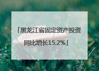 黑龙江省固定资产投资同比增长15.2%