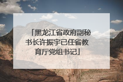 黑龙江省政府副秘书长许振宇已任省教育厅党组书记