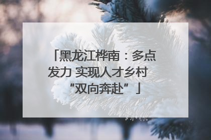 黑龙江桦南：多点发力 实现人才乡村“双向奔赴”