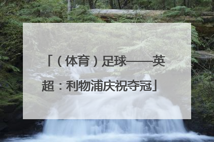 （体育）足球——英超：利物浦庆祝夺冠