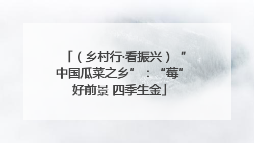 （乡村行·看振兴）“中国瓜菜之乡”：“莓”好前景 四季生金