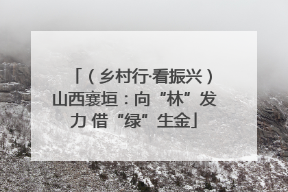 （乡村行·看振兴）山西襄垣：向“林”发力 借“绿”生金