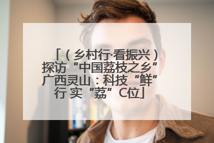 （乡村行·看振兴）探访“中国荔枝之乡”广西灵山：科技“鲜”行 实“荔”C位