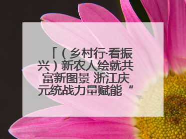 （乡村行·看振兴）新农人绘就共富新图景 浙江庆元统战力量赋能“海拔经济”