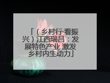 （乡村行·看振兴）江西瑞昌：发展特色产业 激发乡村内生动力
