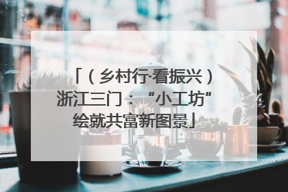 （乡村行·看振兴）浙江三门：“小工坊”绘就共富新图景