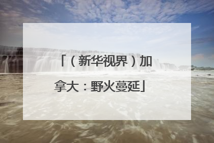 （新华视界）加拿大：野火蔓延