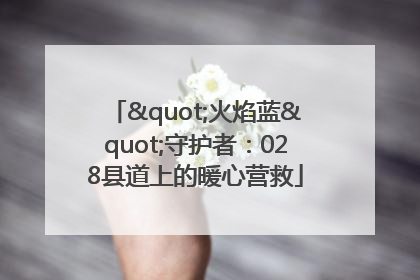 "火焰蓝"守护者：028县道上的暖心营救