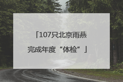 107只北京雨燕完成年度“体检”