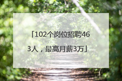 102个岗位招聘463人，最高月薪3万