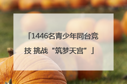 1446名青少年同台竞技 挑战“筑梦天宫”