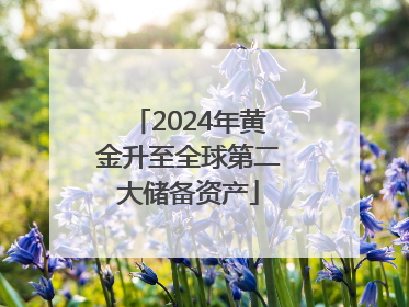 2024年黄金升至全球第二大储备资产