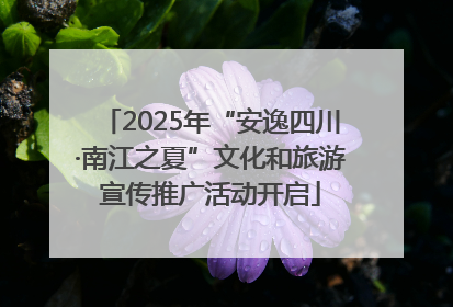 2025年“安逸四川·南江之夏”文化和旅游宣传推广活动开启